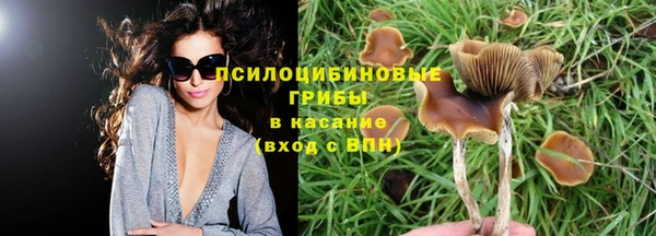 2c-b Алексеевка