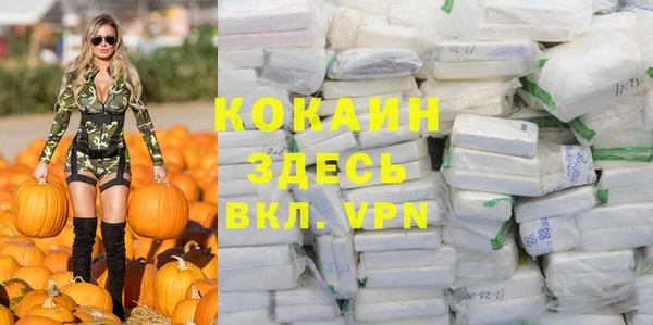 крисы Пестово