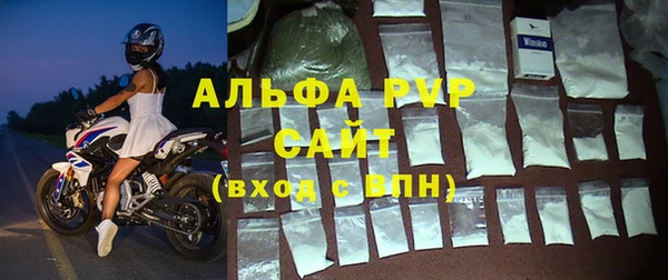 спайс Пересвет