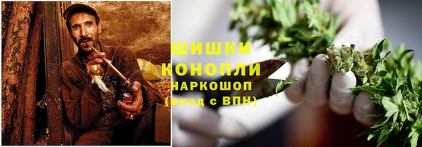 ГАЛЛЮЦИНОГЕННЫЕ ГРИБЫ Алексин