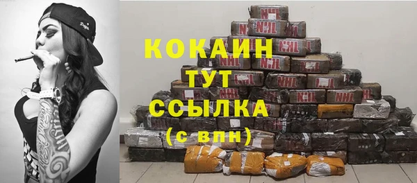 спайс Пересвет